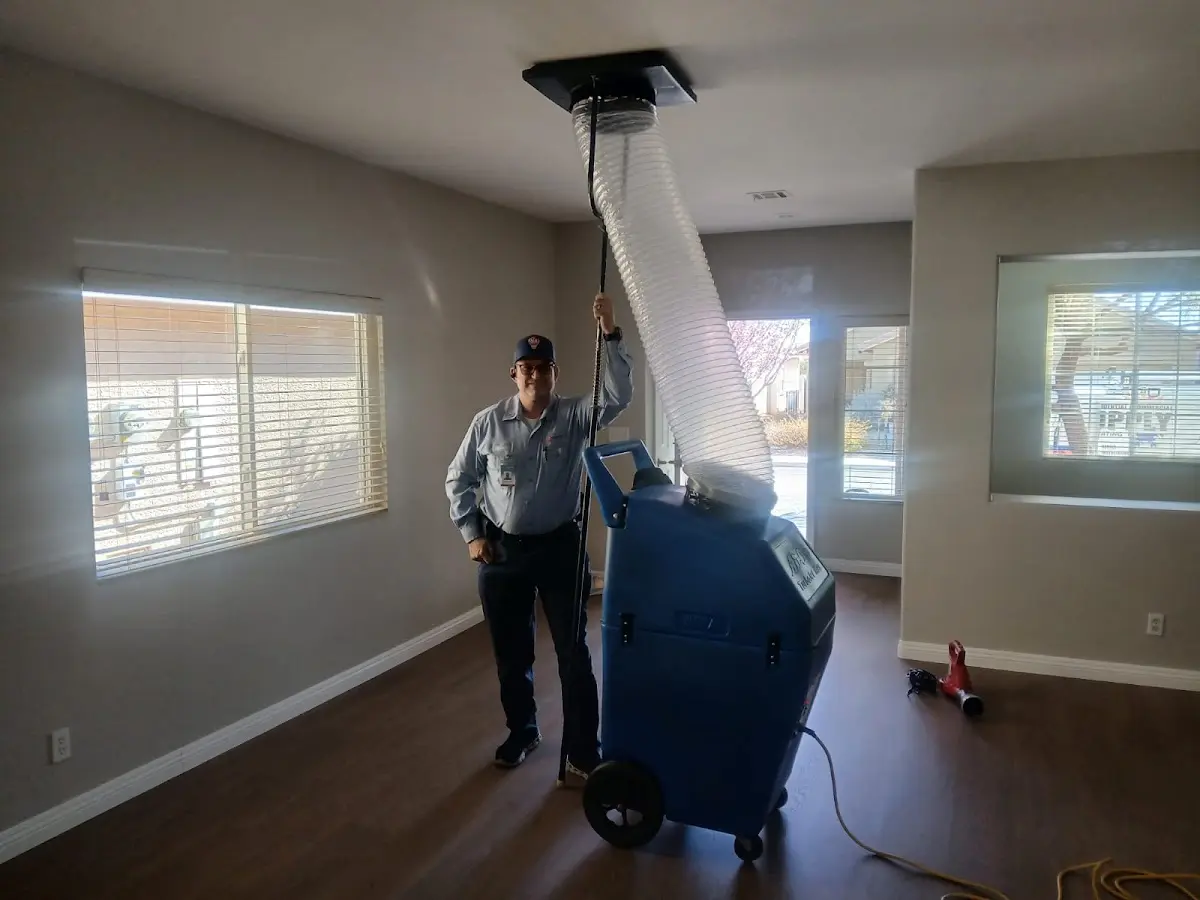 Professional Dryer Vent Cleaning work inside a Palm Beach home